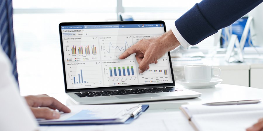 a person analyzing financial statements and company performance metrics.